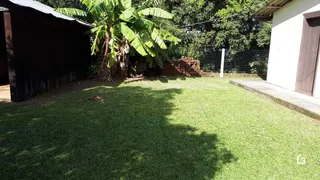 Vista externa de um quintal gramado com vegetação e cerca.