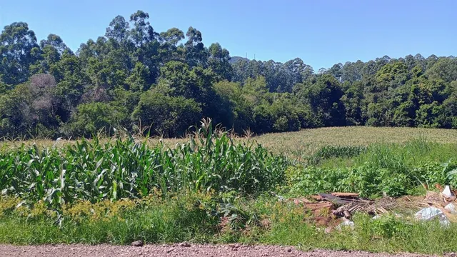Terreno, foto 2