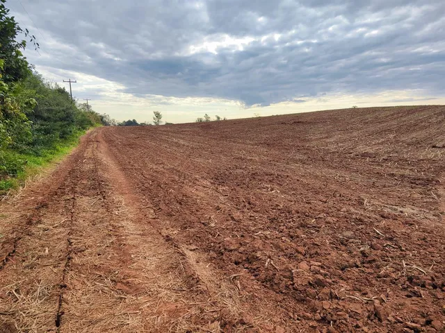 Terreno, foto 3