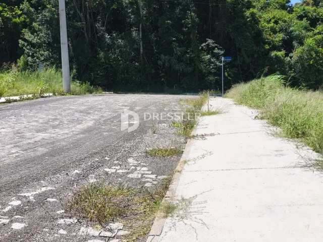 Terreno, foto 2