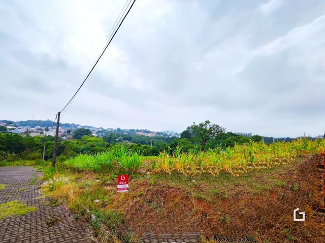 Paisagem de vegetação e terra ao ar livre em Lajeado.