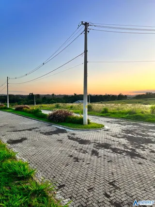 Terreno, foto 6