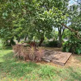 Vista externa de um terreno com vegetação e árvores.