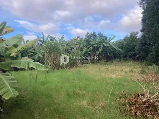 Terreno, foto 7