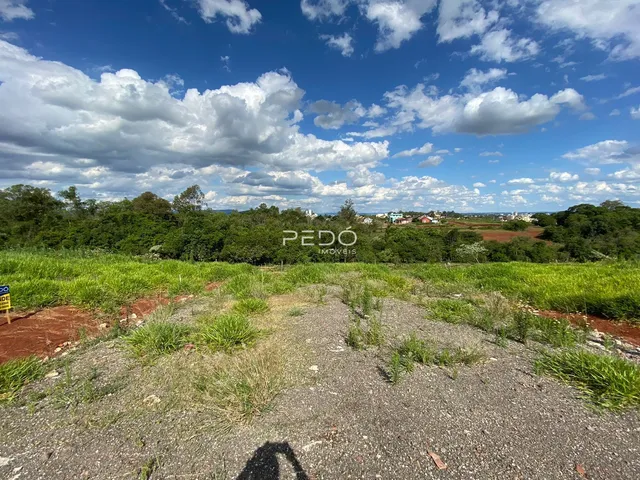 Terreno, foto 3