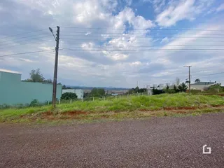 Vista externa de uma propriedade com vegetação e estrada no fundo.