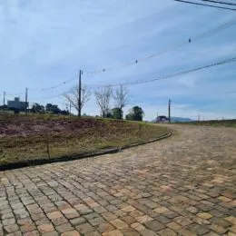 Vista de um caminho pavimentado em uma área externa.