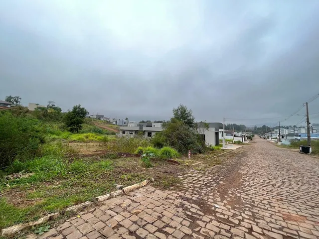 Terreno, foto 3