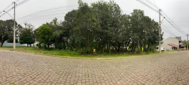 Terreno