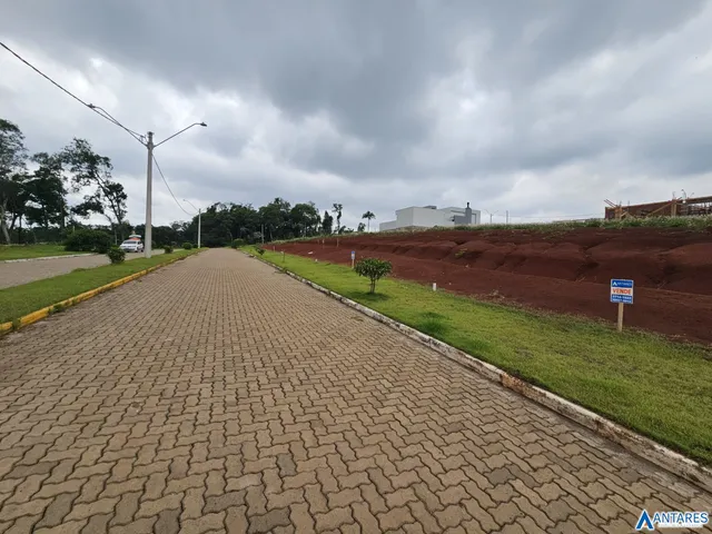 Terreno, foto 2