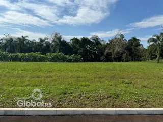 Campo verde com vegetação e árvores ao fundo.