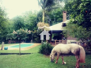 Área rural com 3 dormitórios, foto 16