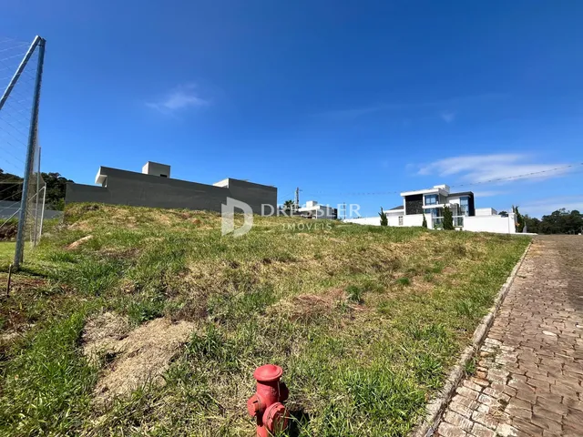 Terreno, foto 2
