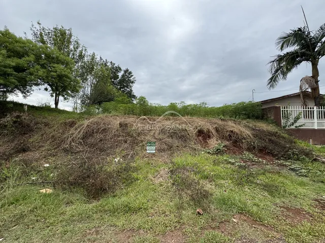 Vista externa de um terreno com vegetação densa e árvores no fundo.
