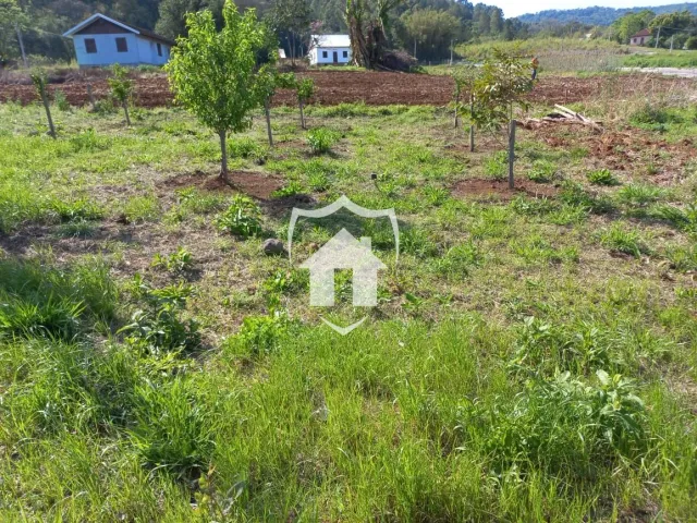 Terreno, foto 2