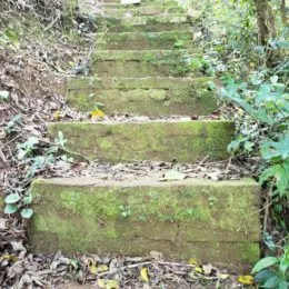 Área rural, foto 15