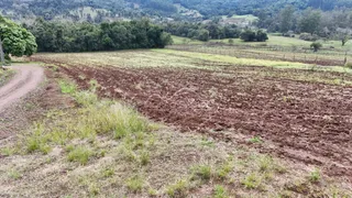 Foto de uma paisagem rural com campo aberto e vegetação no fundo.
