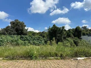 Vista externa mostrando vegetação densa e grama em um dia claro.