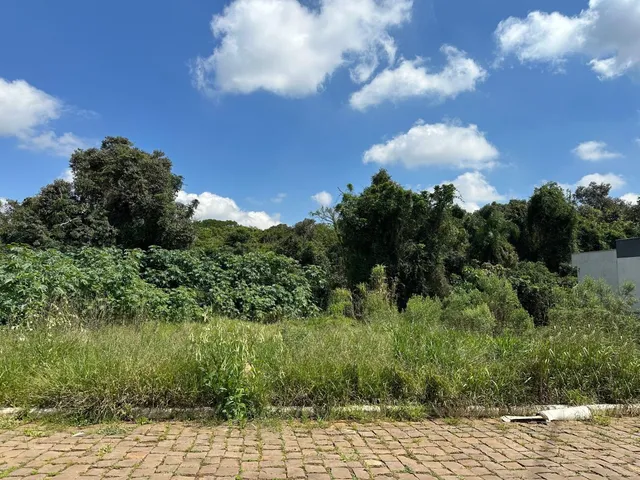 Vista externa mostrando vegetação densa e grama em um dia claro.