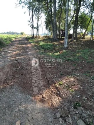 Área rural, foto 13
