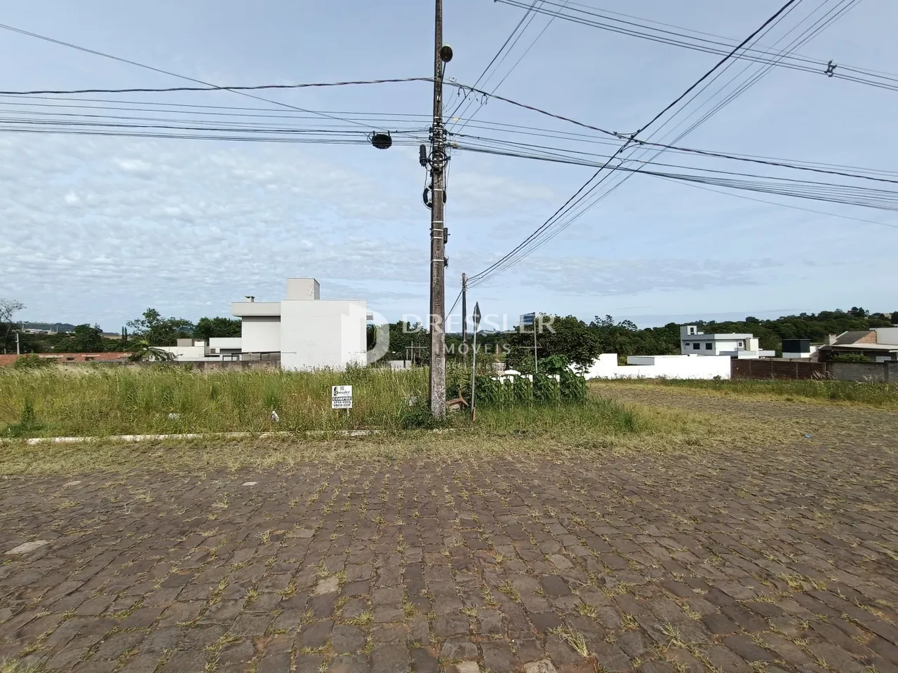Vista externa de um terreno com vegetação e uma residência ao fundo.