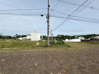 Vista externa de um terreno com vegetação e uma residência ao fundo.