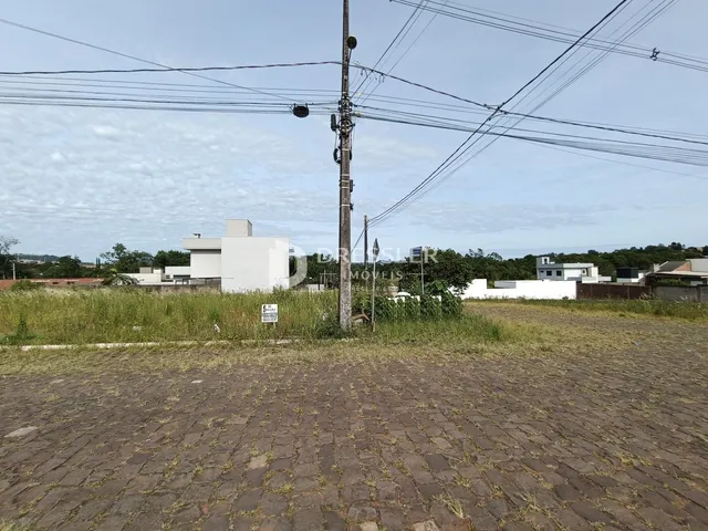 Vista externa de um terreno com vegetação e uma residência ao fundo.