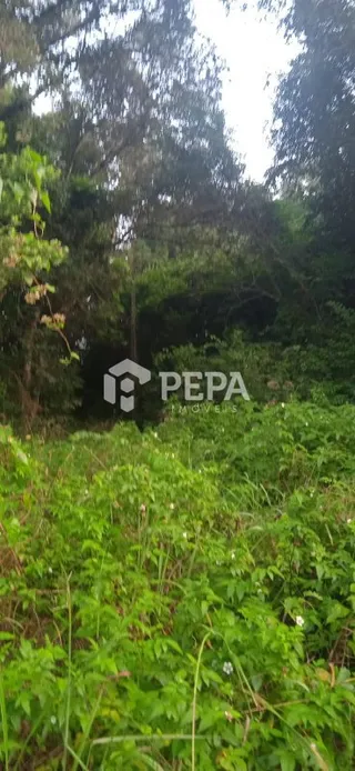 Terreno, foto 2
