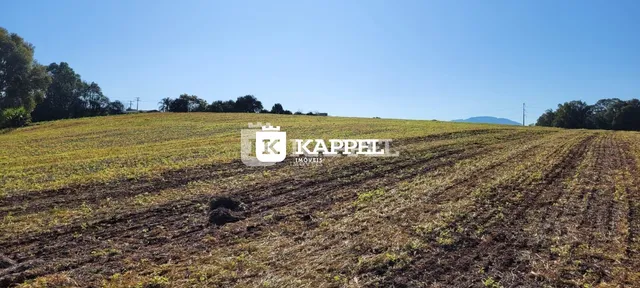 Vista de um campo aberto com vegetação seca sob um céu azul.