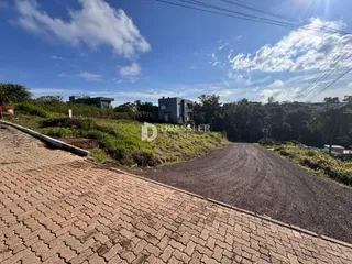 Vista da propriedade em Lajeado, Brasil, mostrando uma estrada de terra e vegetação ao fundo.