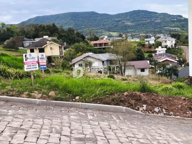 Terreno