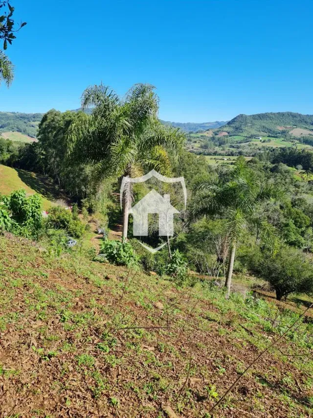 Área rural com 2 dormitórios, foto 4