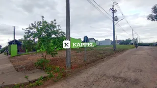 Terreno, foto 3