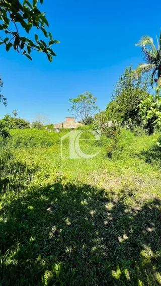 Terreno, foto 18
