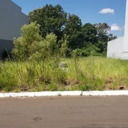 Paisagem externa com vegetação alta e grama no quintal.