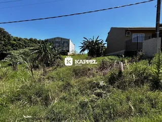 Vista externa de uma propriedade com vegetação alta no primeiro plano sob céu azul.