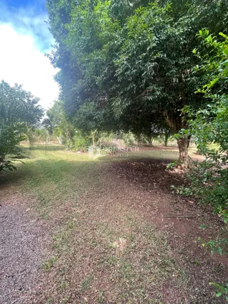 Área rural com 4 dormitórios, foto 7