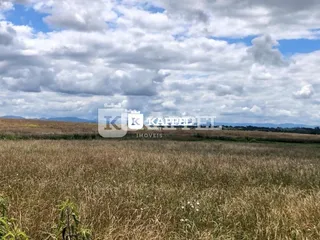 Foto de um campo de grama seca sob um céu nublado.
