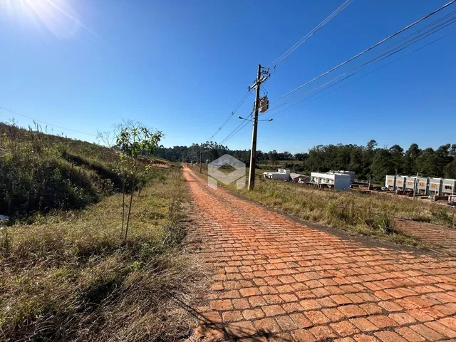 Uma estrada de tijolos se estende por uma paisagem de vegetação.