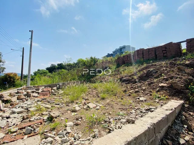 Terreno, foto 2