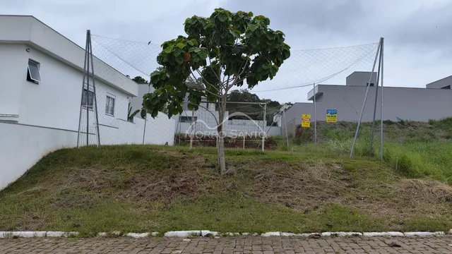 Terreno, foto 2