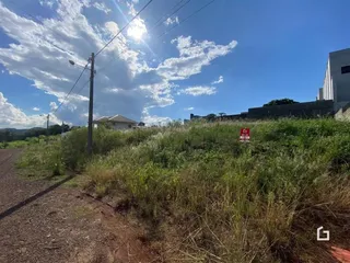 Vista da propriedade em Lajeado, Brasil, com vegetação alta e estrada de terra.