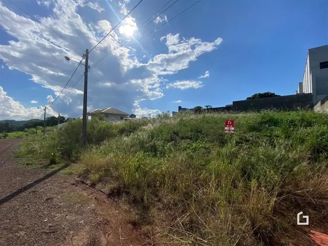 Vista da propriedade em Lajeado, Brasil, com vegetação alta e estrada de terra.