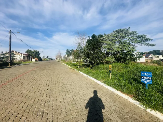 Vista da rua em Lajeado, Brasil, com vegetação ao lado da via.