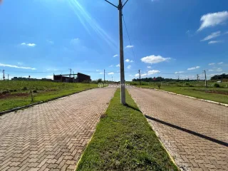 Vista da estrada de acesso com vegetação ao redor.