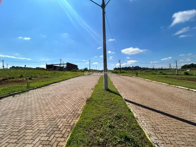 Vista da estrada de acesso com vegetação ao redor.