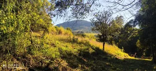 Terreno, foto 13