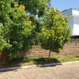 Terreno, foto 4