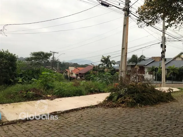 Vista externa de uma propriedade com vegetação densa e postes de energia ao fundo.