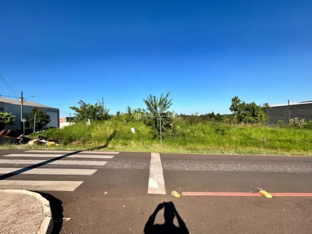 Terreno, foto 2